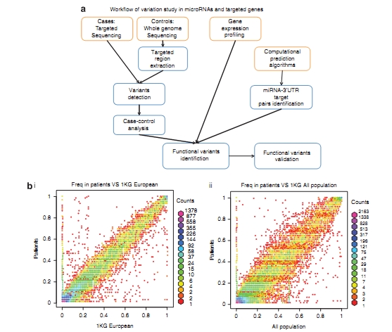 Catch(10-21-15-44-30)