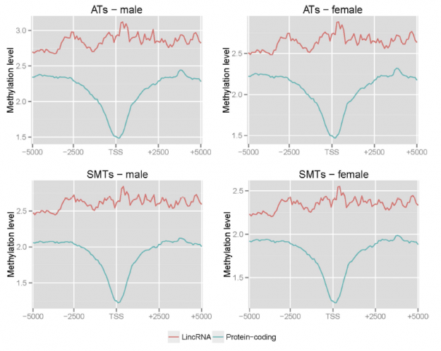DNA methylation