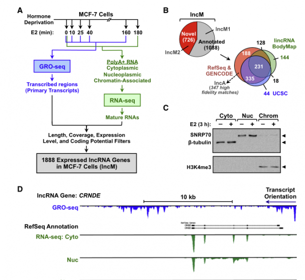 RNA-seq