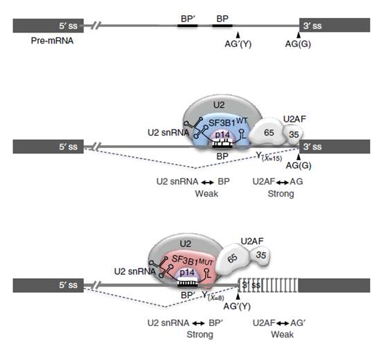 3c6f35f3171bd1cf71458da7b88e1b3e28f55a63