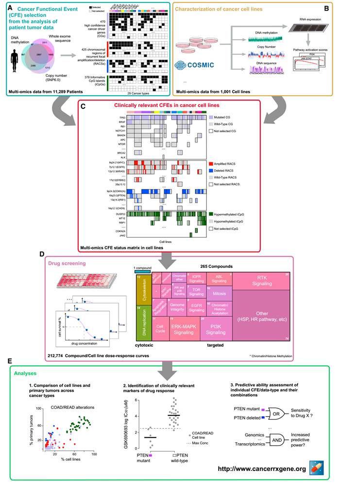 51a4545cac95eb8b074f5961d37b0353d7a7d781