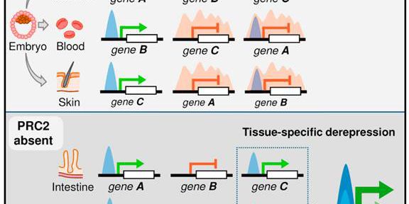 db39e43eac6de28c107e1f7b605aac8952f3accd