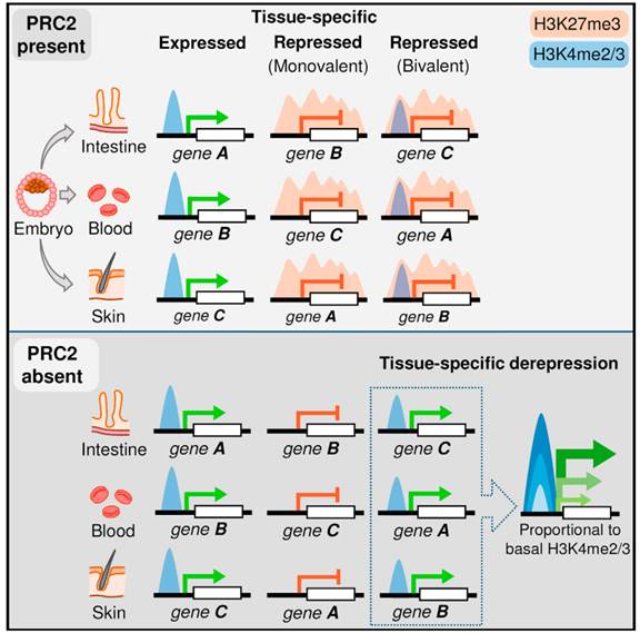 db39e43eac6de28c107e1f7b605aac8952f3accd
