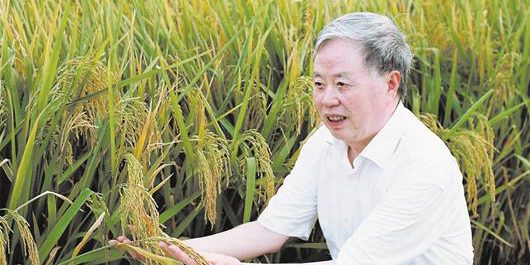 W020170810285968354752